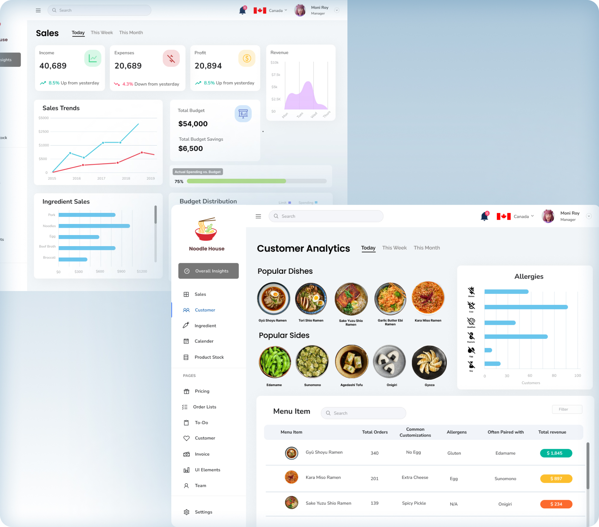 sales dashboard and customer analytics image